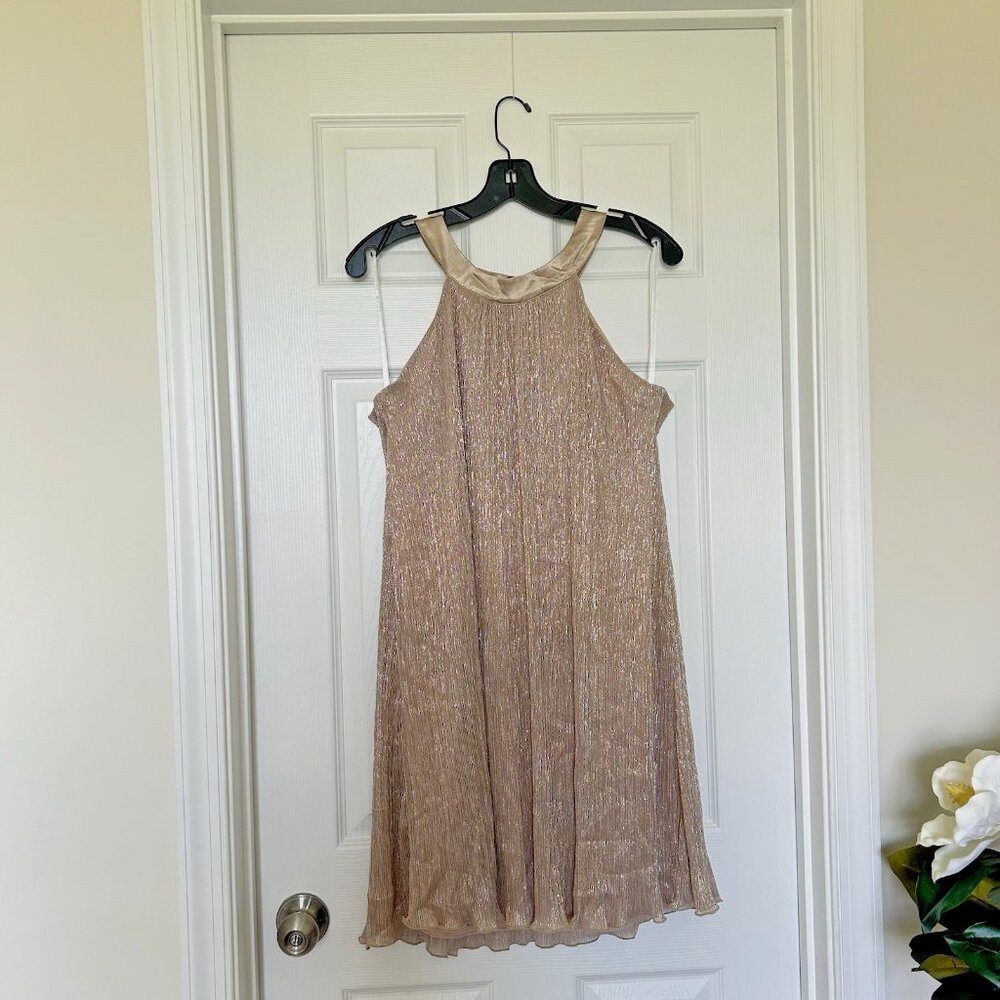 En Focus Studio Sparkling Champagne Dress 12